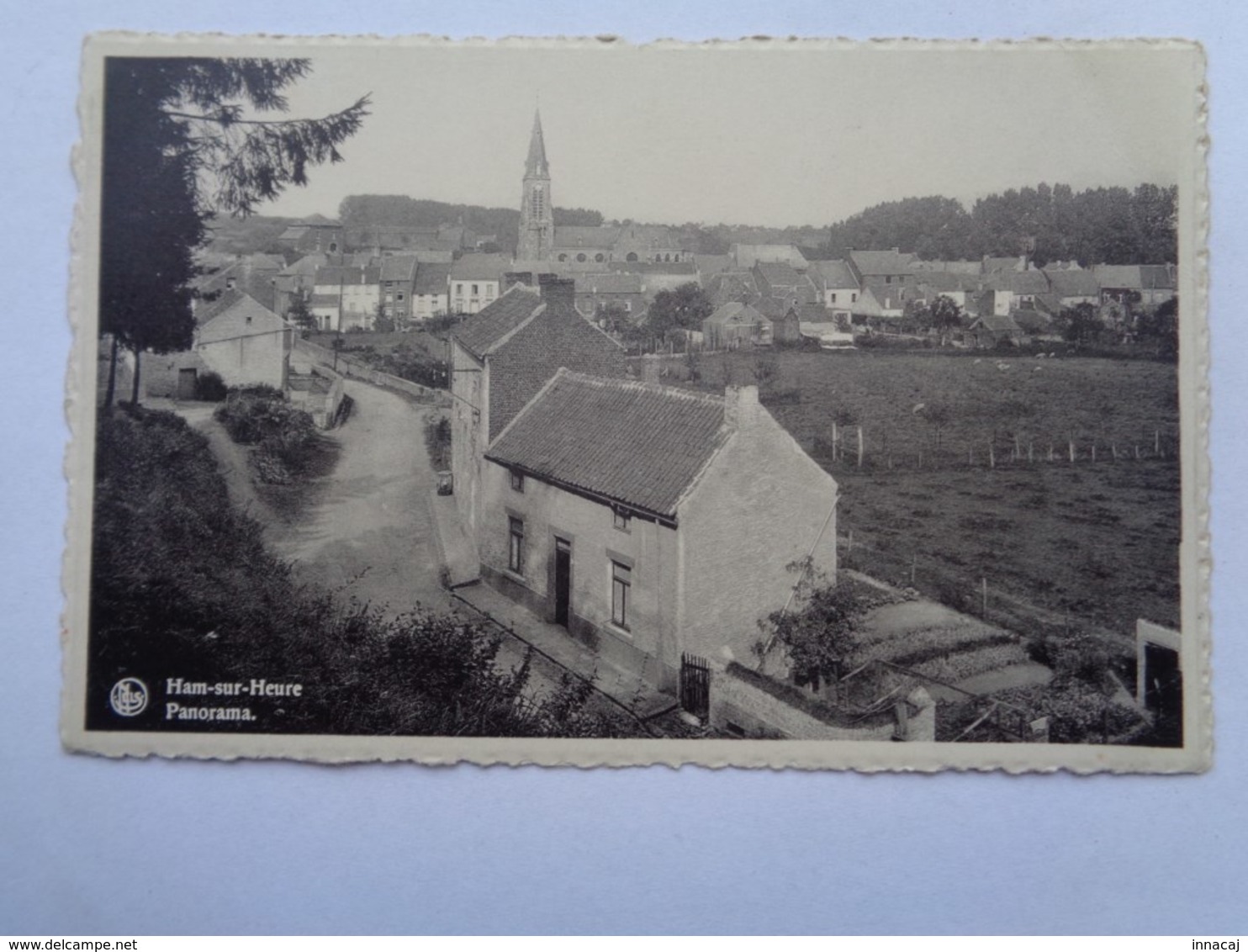 Réf: 89-5-44.   HAM-SUR-HEURE      Panorama. - Ham-sur-Heure-Nalinnes