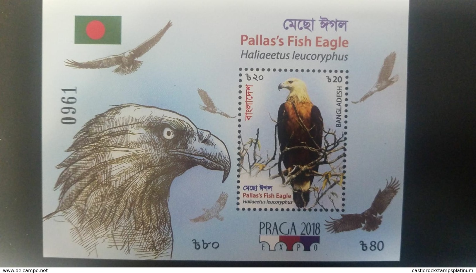 O) 2018 BANGLADESH, PRAGA EXPO 2018-BIRDS OF PREY, HALIAEETUS LEUCORYPHUS -PALLAS'S FISH EAGLE, SOUVENIR MNH - Bangladesh