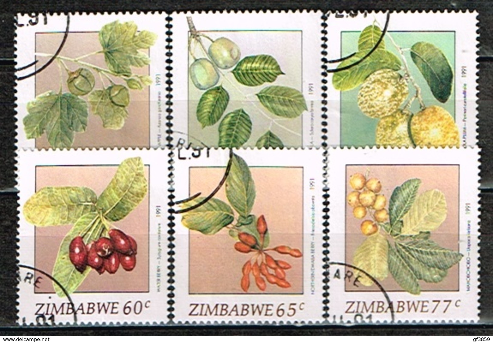 ZIMBABWE /Oblitérés/Used/1991 - Fruits Indigénes - Zimbabwe (1980-...)