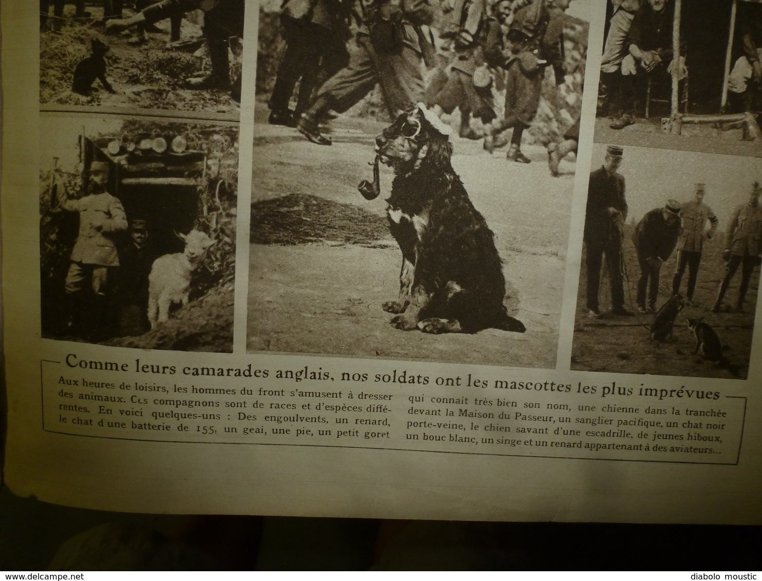 1916 LE MIROIR: Le Chien-mascotte Fume La Pipe;Prisonniers Hameln;Ypres;Aviateurs Fr Internés à Hospenthal,Andermat;etc - Francese