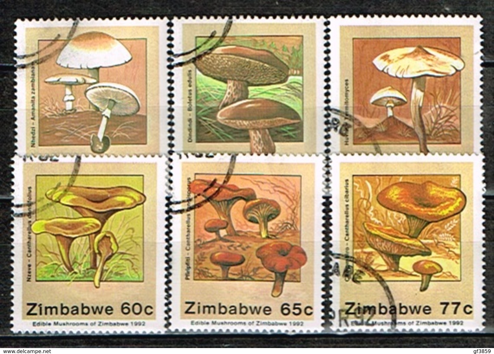 ZIMBABWE /Oblitérés/Used/1992 - Champignons Comestibles - Zimbabwe (1980-...)