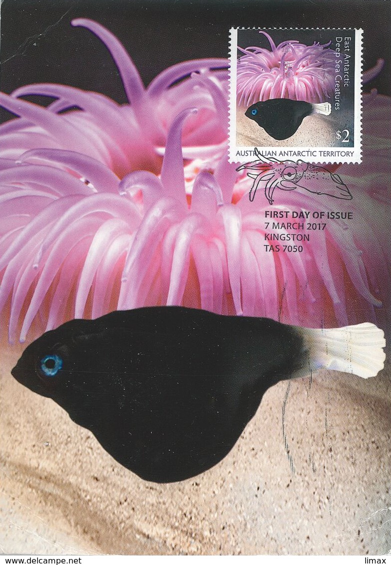 Deep Sea Creatures Tiefsee Tiere Fisch - Maximum Cards
