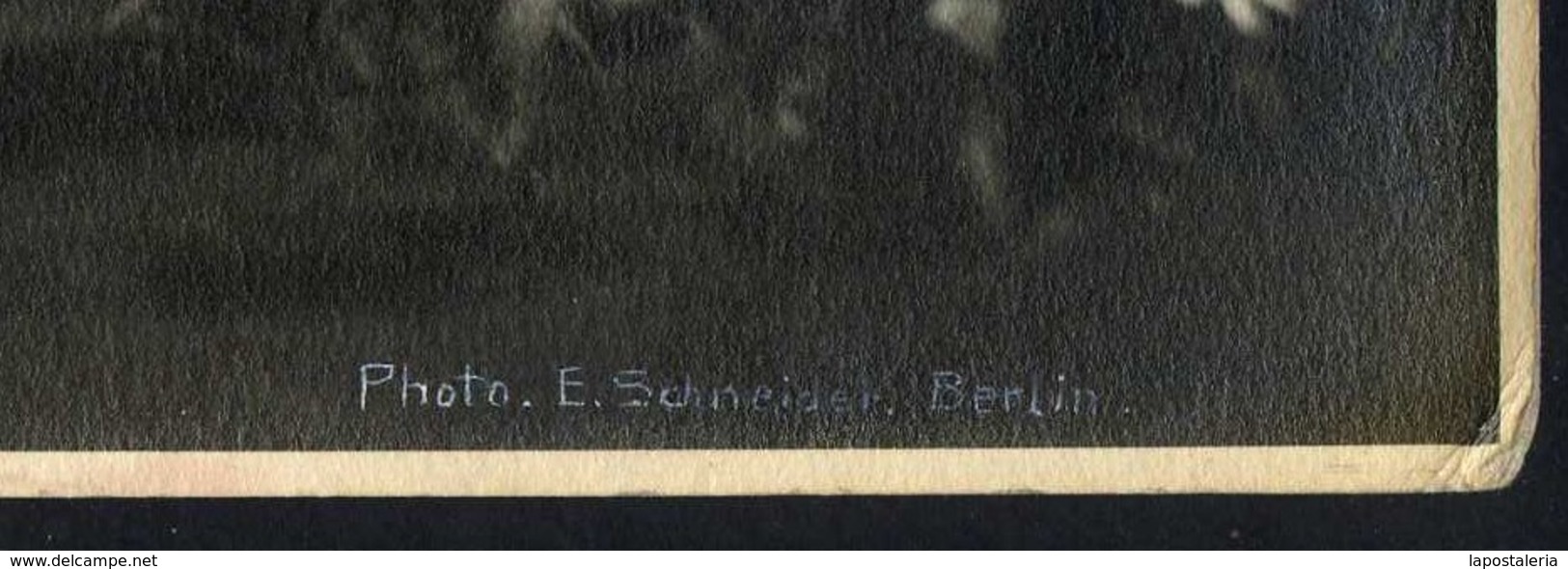 *Ernst Schneider, Berlin* Lote 3 fotos 233x291 mms. Firmadas ángulo inferior derecha.