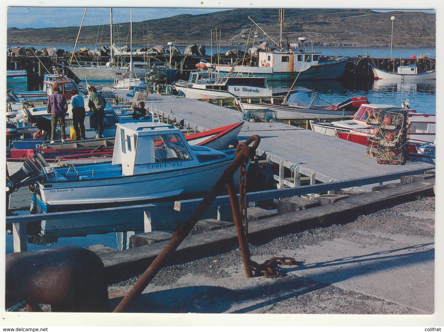 Miquelon       Le Port - Saint-Pierre-et-Miquelon