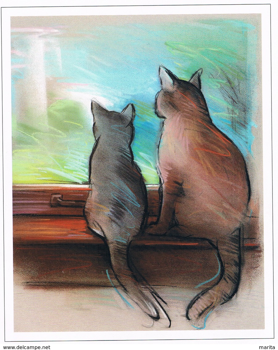2 Chats A La Fenêtre-  Cats -katzen - Poezen Aan De Venster - Other & Unclassified