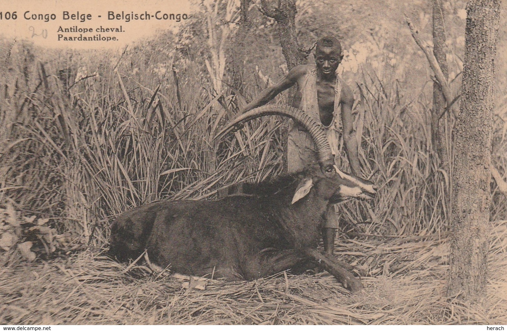 Congo Belge Entier Postal Illustré Pour La France 1922 - Entiers Postaux