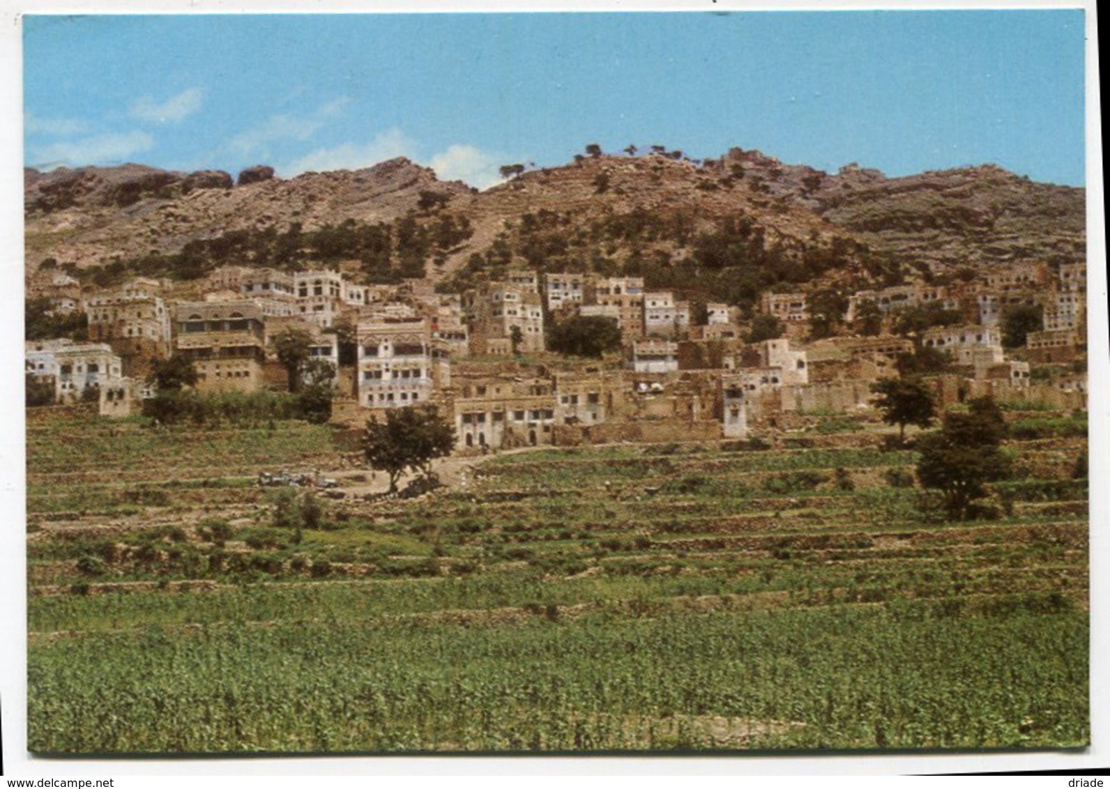 CARTOLINA ALMAHWEET CITY YEMEN VIAGGIATA - Yemen