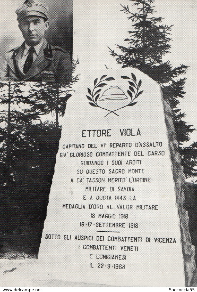 MONUMENTO A ETTORE VIOLA CAPITANO DEL VI REPARTO D'ASSALTO MEDAGLIA D'ORO AL VALOR MILITARE - War Memorials