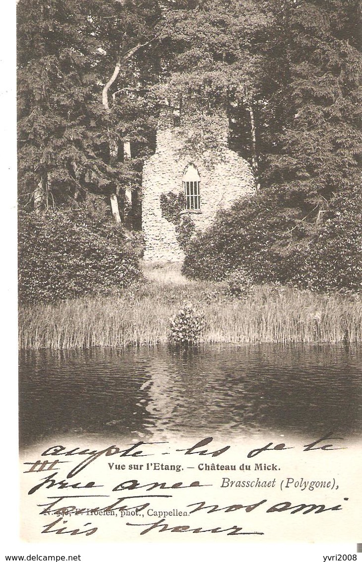 CP. BRASSCHAET POLYGONE  - Vue Sur L'Etang - Château Du Mick - N° 946? F.Hoelen En 1903 - Brasschaat