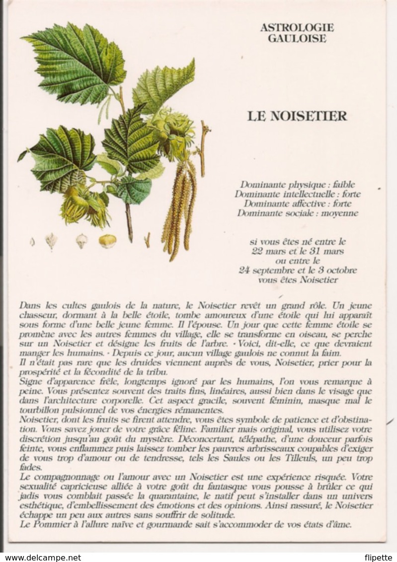 L32B103 - Astrologie Gauloise - Le Noisetier - Texte Edgard Bliss Editions Gendre - Otros & Sin Clasificación