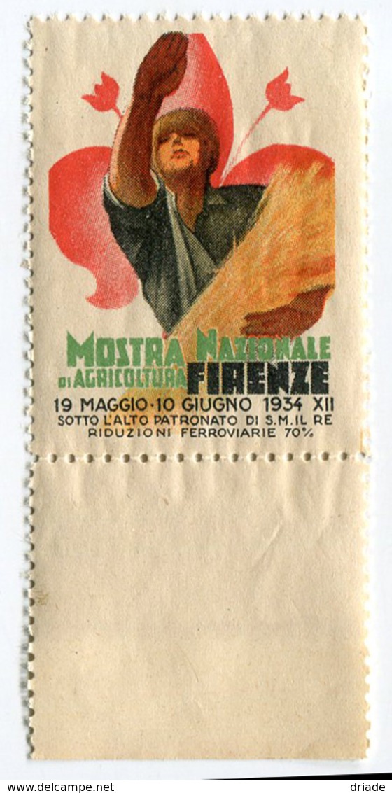 ERINNOFILO MOSTRA NAZIONALE DI AGRICOLTURA FIRENE ANNO 1934 ILLUSTRATORE A. DUDOVICH - Erinnophilie