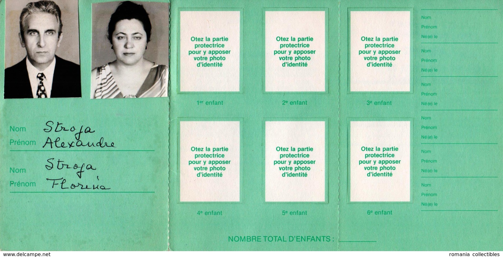 France, 1982, Carte "COUPLE / FAMILLE" - Transport Pass, SNCF - Other & Unclassified