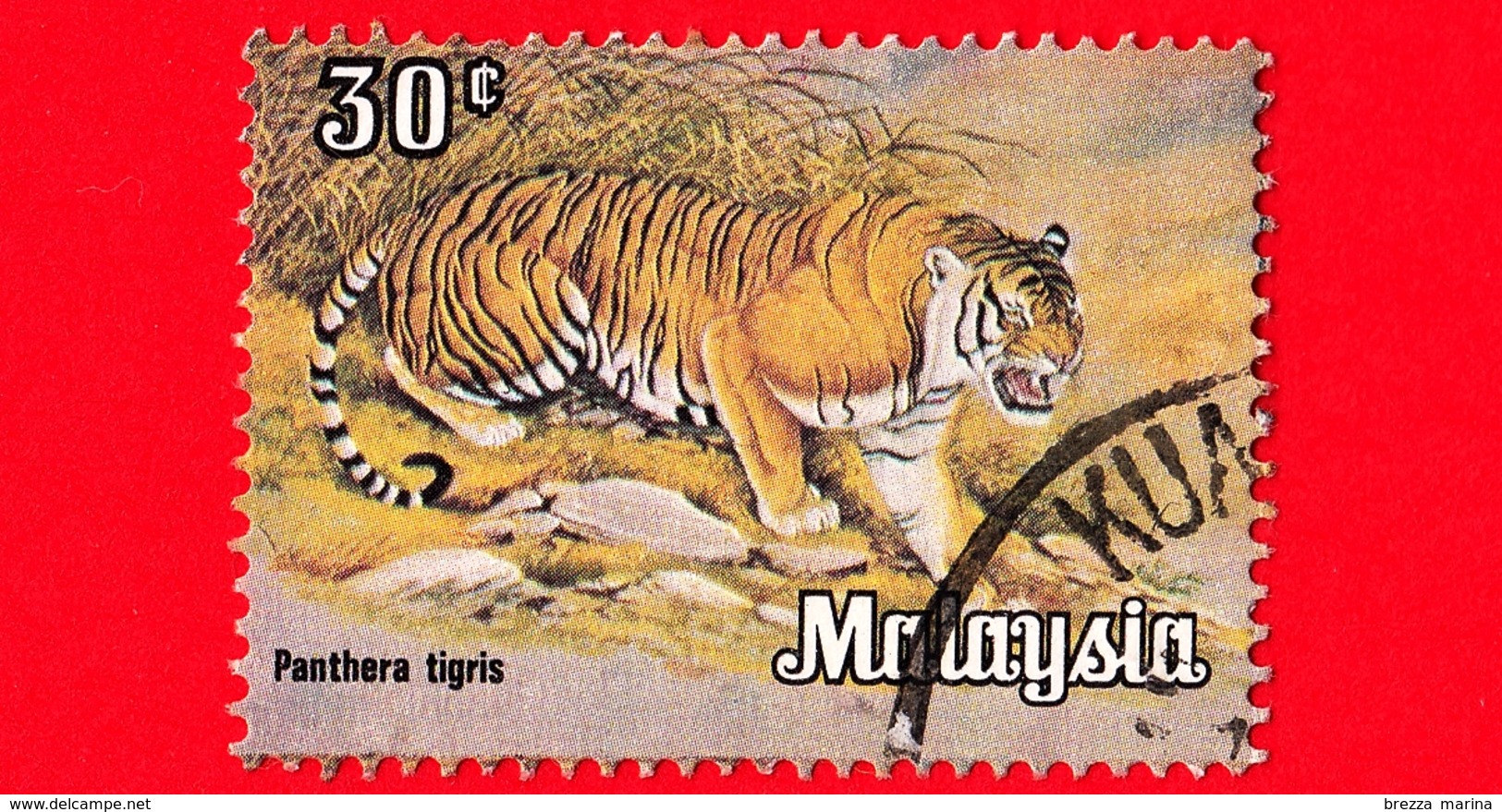 MALESIA - MALAYSIA - Usato - 1979 - Animali - Mammiferi - Tigre - Panthera Tigris - 30 - Malesia (1964-...)