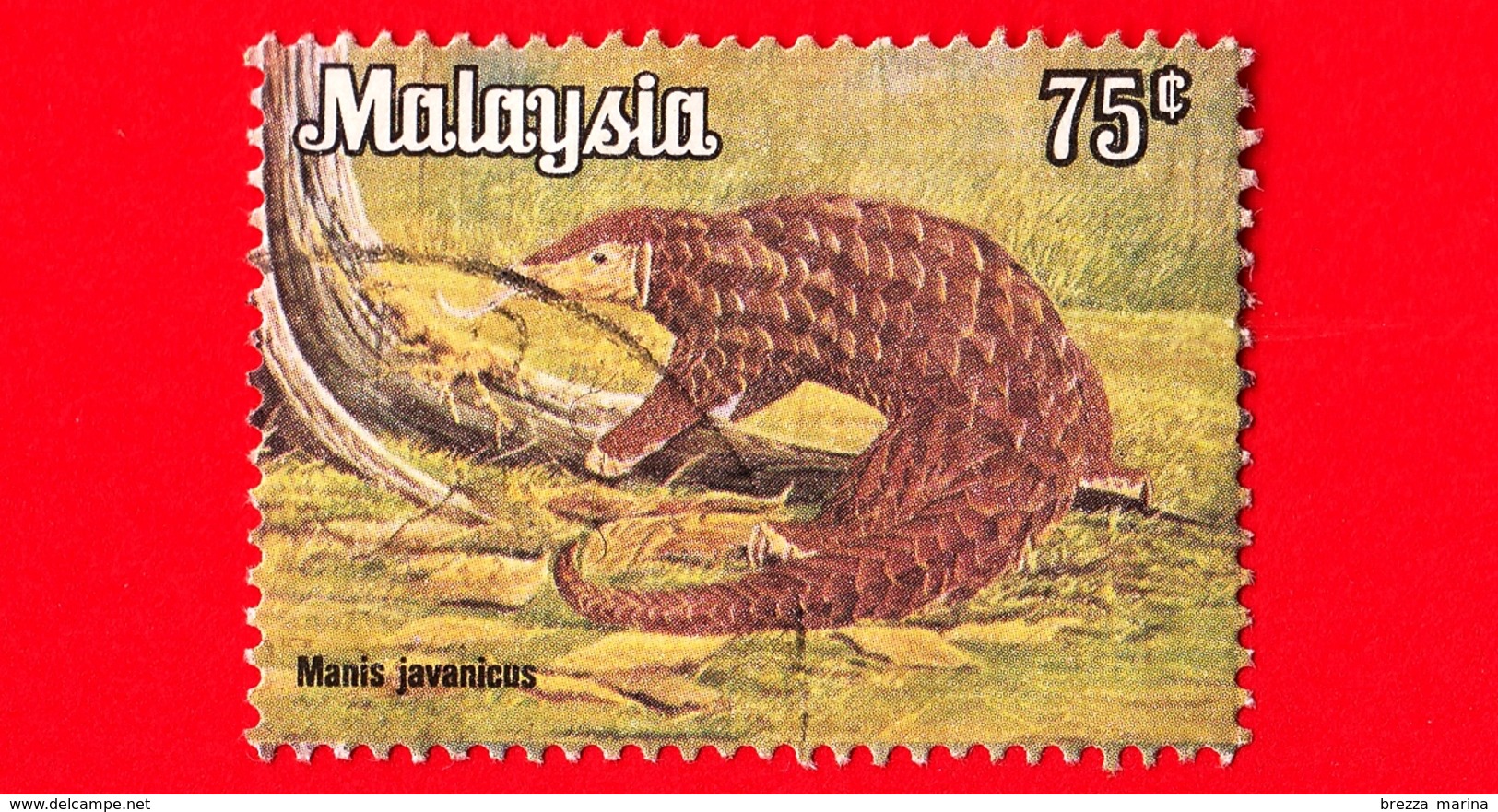 MALESIA - MALAYSIA - Usato - 1979 - Animali - Mammiferi - Pangolino Del Borneo - Manis Javanica - 75 - Malesia (1964-...)