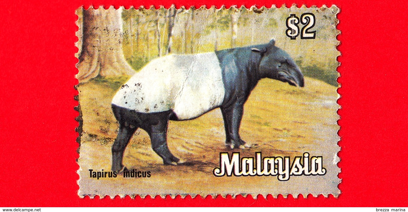 MALESIA - MALAYSIA - Usato - 1979 - Animali - Mammiferi - Tapiro - Tapirus Indicus - 2  - Piega .. - Malesia (1964-...)