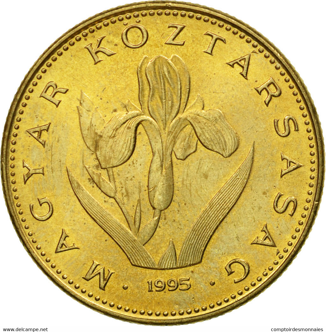 Monnaie, Hongrie, 20 Forint, 1995, Budapest, SUP, Nickel-brass, KM:696 - Hungary