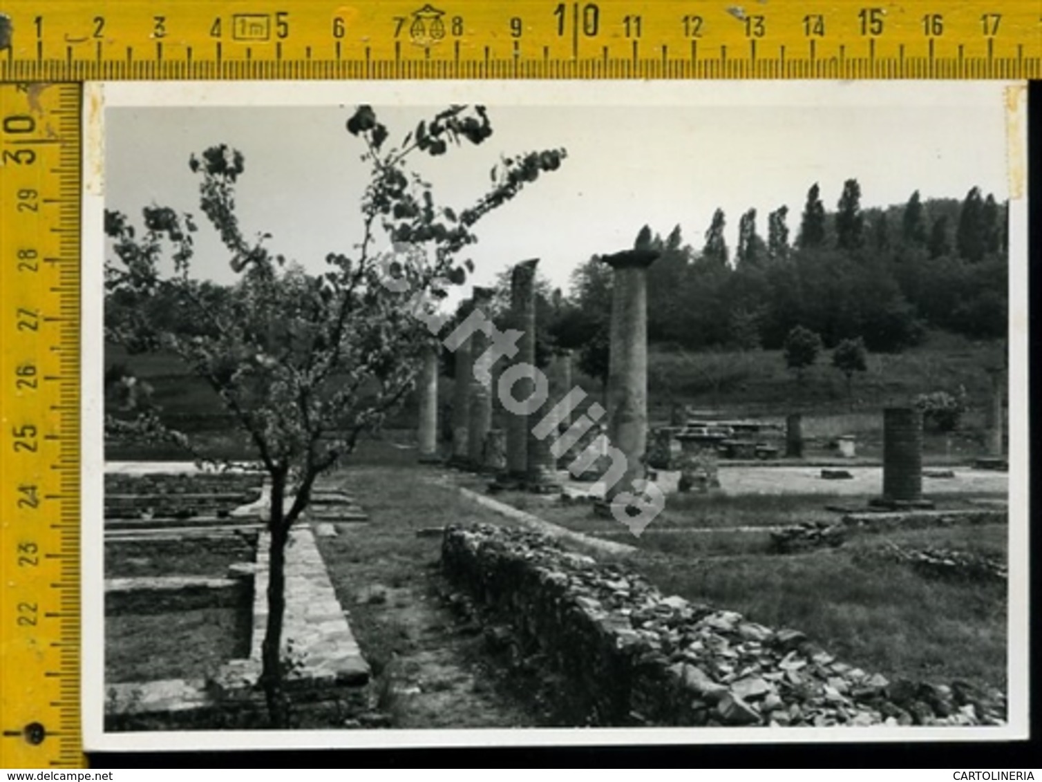 Piacenza Veleia Velleia Romana - Piacenza