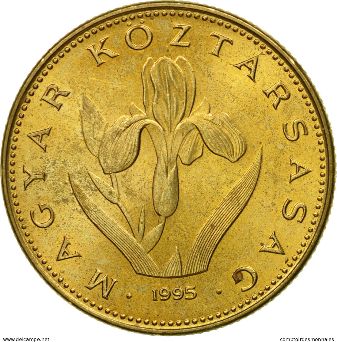 Monnaie, Hongrie, 20 Forint, 1995, Budapest, SUP, Nickel-brass, KM:696 - Hungary