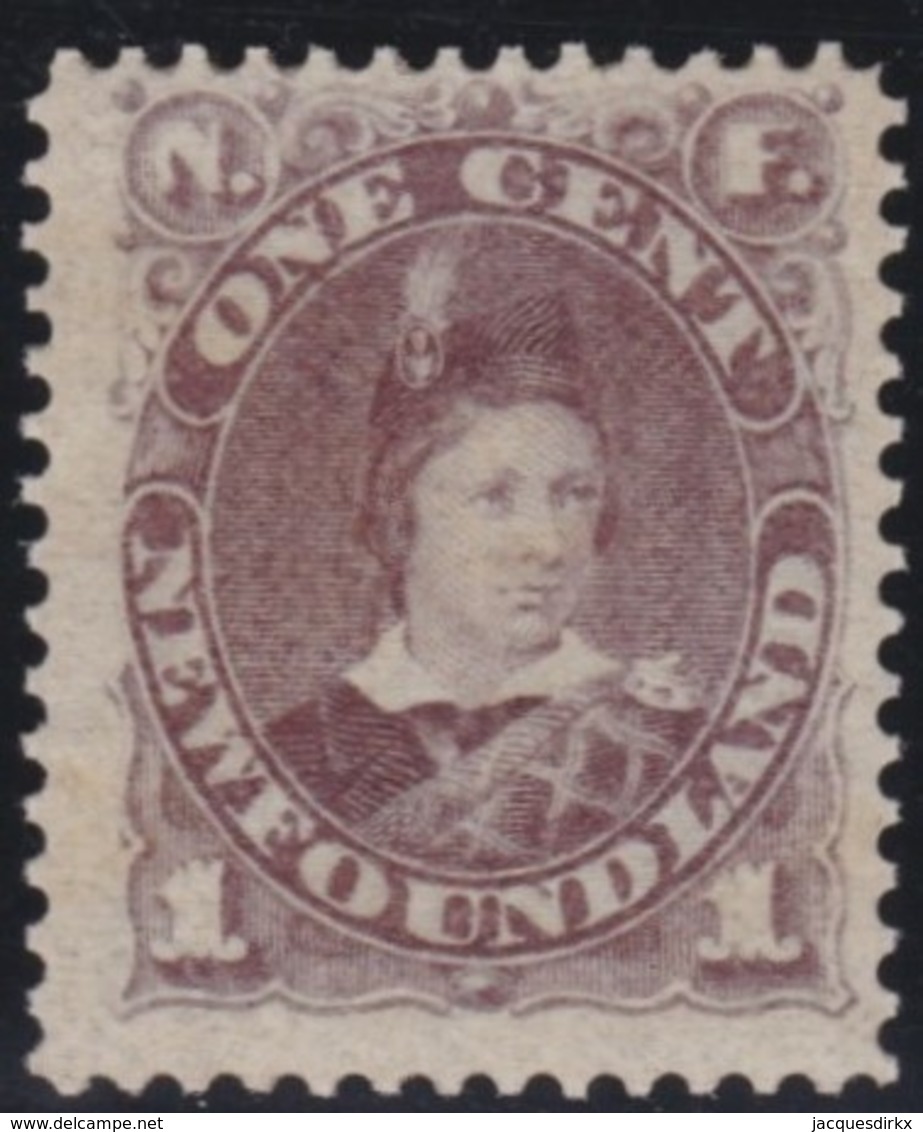 Newfoundland        .   SG   .     44       .      *      .   Ongebruikt   .   /   .  Mint-hinged - 1865-1902