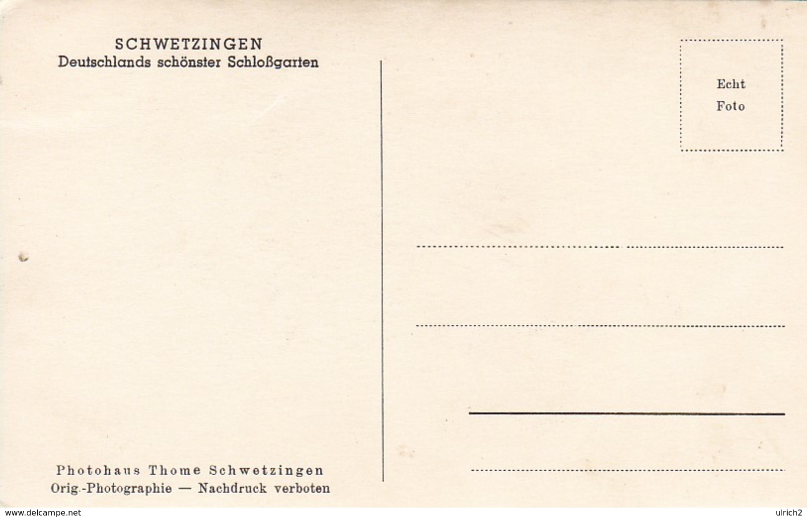 AK Schwetzingen - Schloßgarten - Die Moschee (36373) - Schwetzingen