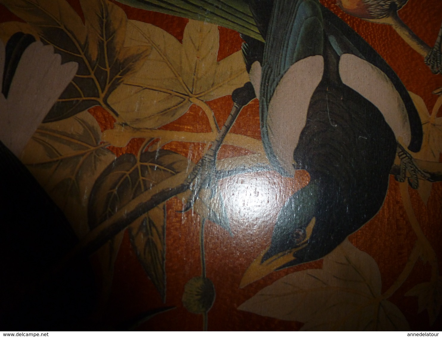 Boite Ancienne Forme éllipse, En Merisier Avec Décor D'oiseaux, Peinte Par J. Audubon , Dimensions 43cm X 29cm X 9cm - Boîtes/Coffrets