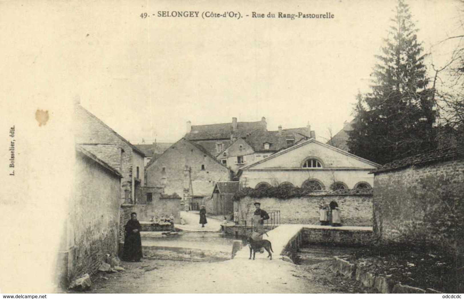 DELONGEY (Cote D'Or ) Rue Du Rang Pastourelle RV - Autres & Non Classés