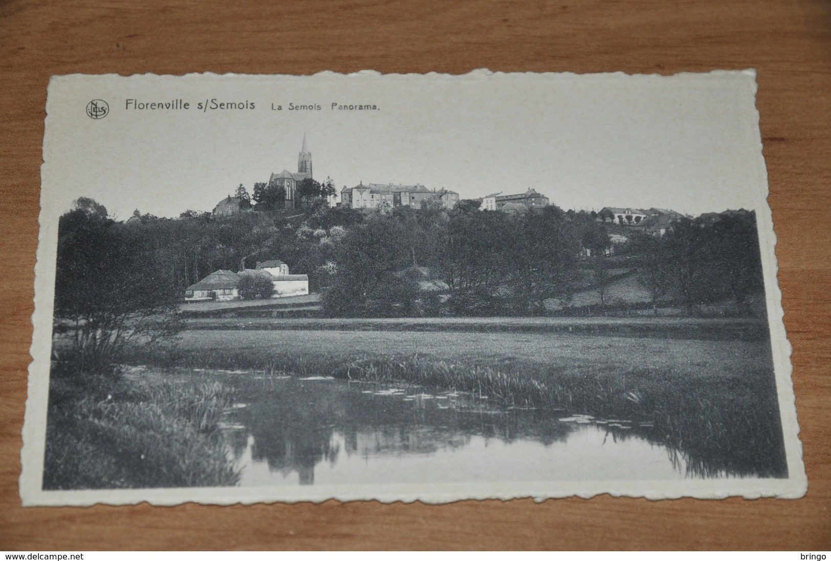 1576- Florenville S/Semois, Panorama - Florenville