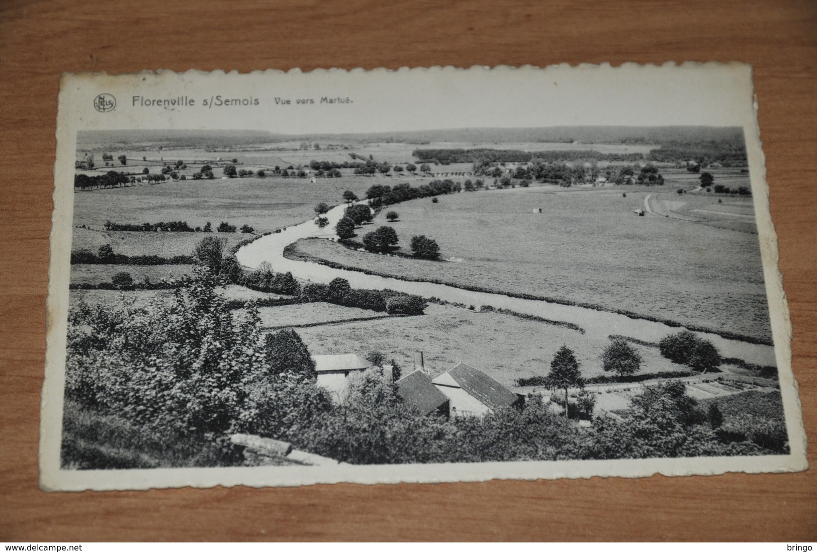 1577- Florenville S/Semois, Vue Vers Martue - Florenville