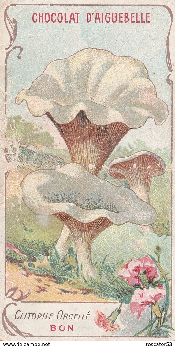 Rare Chromo Chocolat D'Aiguebelle Champignon Clitopile Orcellé - Aiguebelle