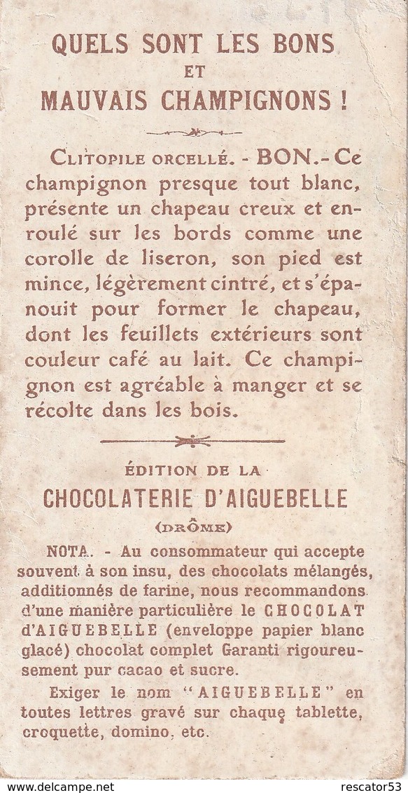 Rare Chromo Chocolat D'Aiguebelle Champignon Clitopile Orcellé - Aiguebelle