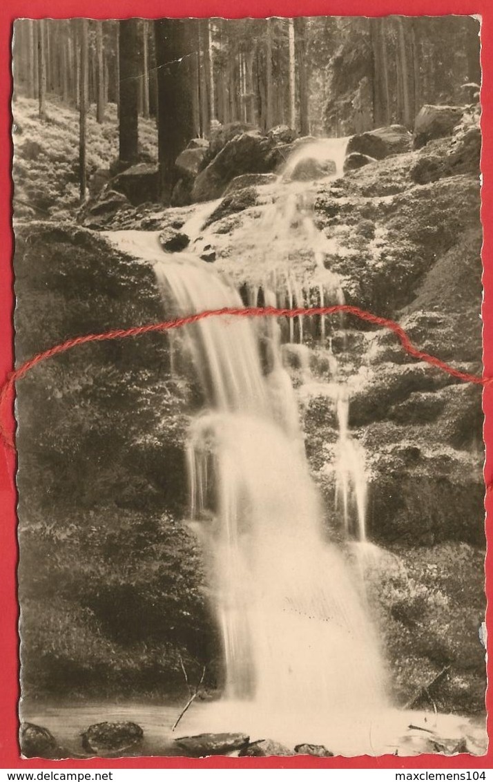 Friedrichroda, Wasserfall Im Kühlen Tal - Friedrichroda