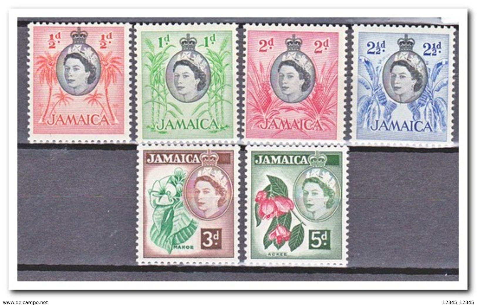 Jamaica, Postfris MNH, Plants, Flowers - Jamaica (1962-...)