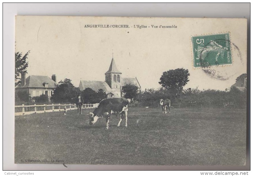 Angerville-l'Orcher (76 - Seine Maritime) - L'église Vue D'ensemble - 1908 - Angerville L' Orcher - Vache Dans Le Champ - Autres & Non Classés