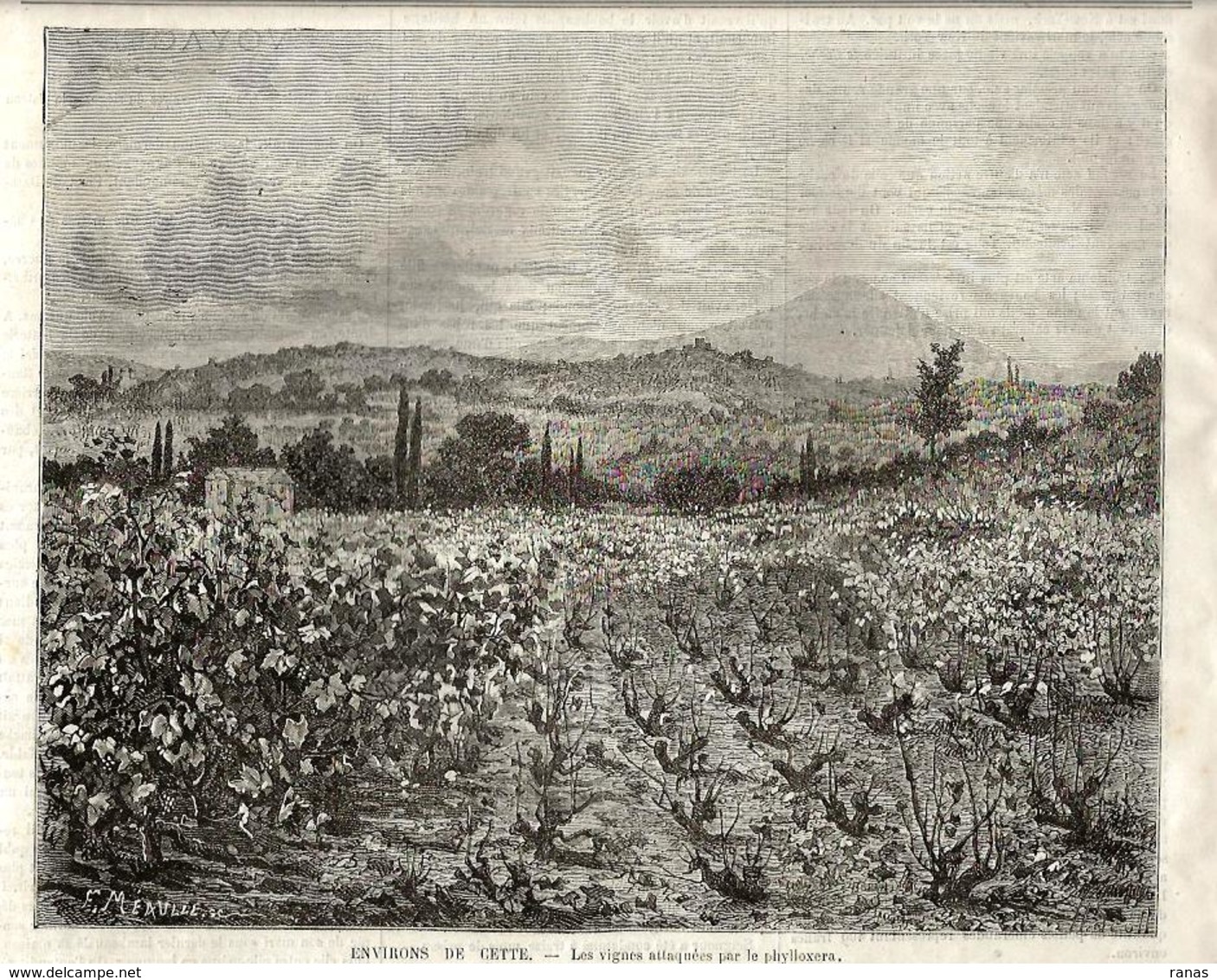 Séte Cette Hérault La Presse Illustrée N°344 De 1874 CUBA Exécution - 1850 - 1899