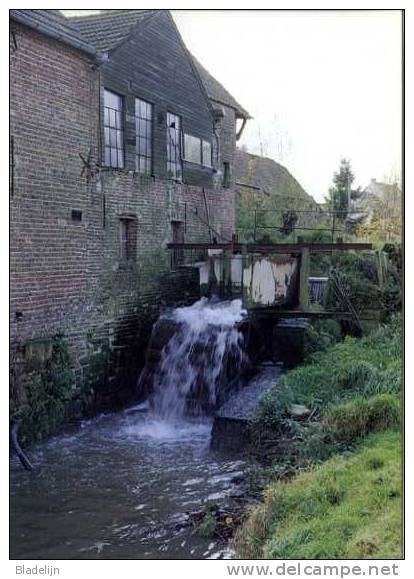 OTTERGEM ~ Erpe-Mere (O.Vl.) - Watermolen/moulin à Eau - Fraaie Kaart Van De Watermeulen In 1992, Nog In Vol Bedrijf. - Erpe-Mere