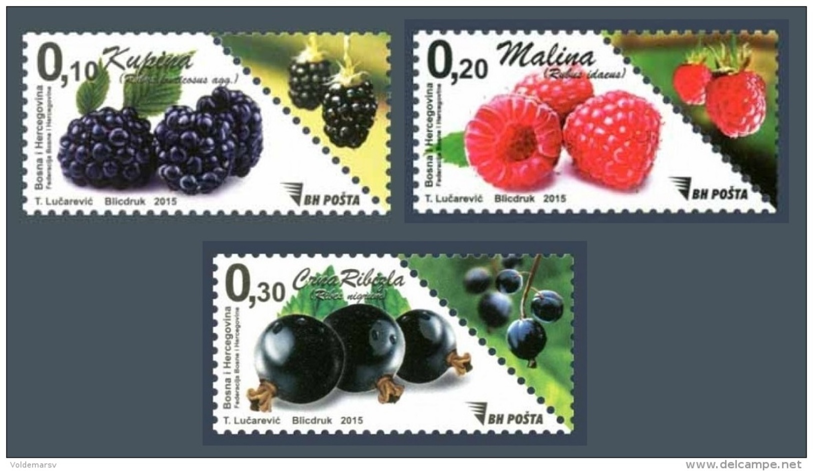 Bosnia And Herzegovina 2015 Mih. 669/71 Definitive Isuues. Berries MNH ** - Bosnie-Herzegovine