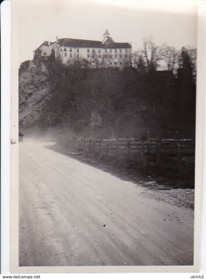 Foto Schloss Pettau - Ptuj - Slowenien Jugoslawien - Ca. 1940 - 8*6cm (36415) - Orte