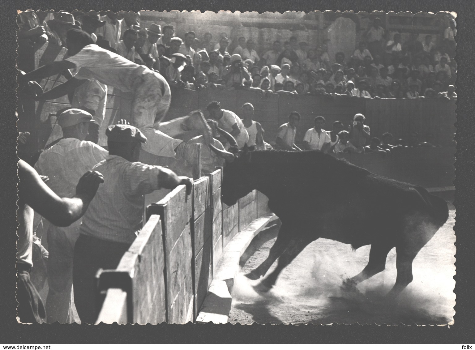 Course Provençale Aux Arênes - Carte Photo - Corrida