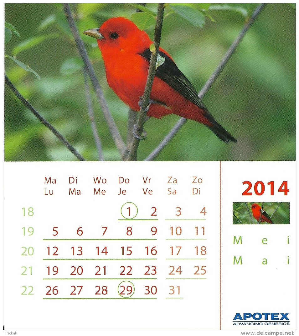 Apotex 2014 / Oiseau Vogel Bird - Autres & Non Classés