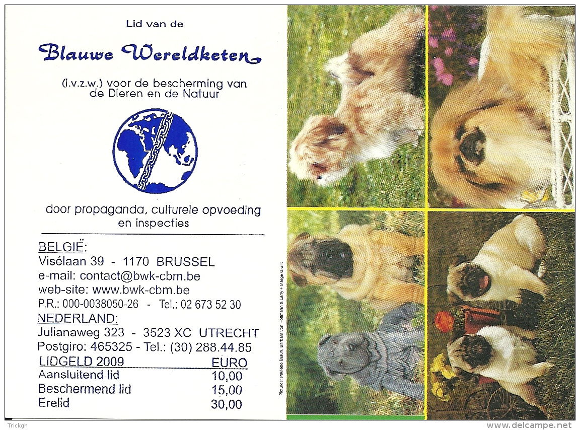 2009 Blauwe Wereldketen / Chien Hond Dog - Petit Format : 2001-...