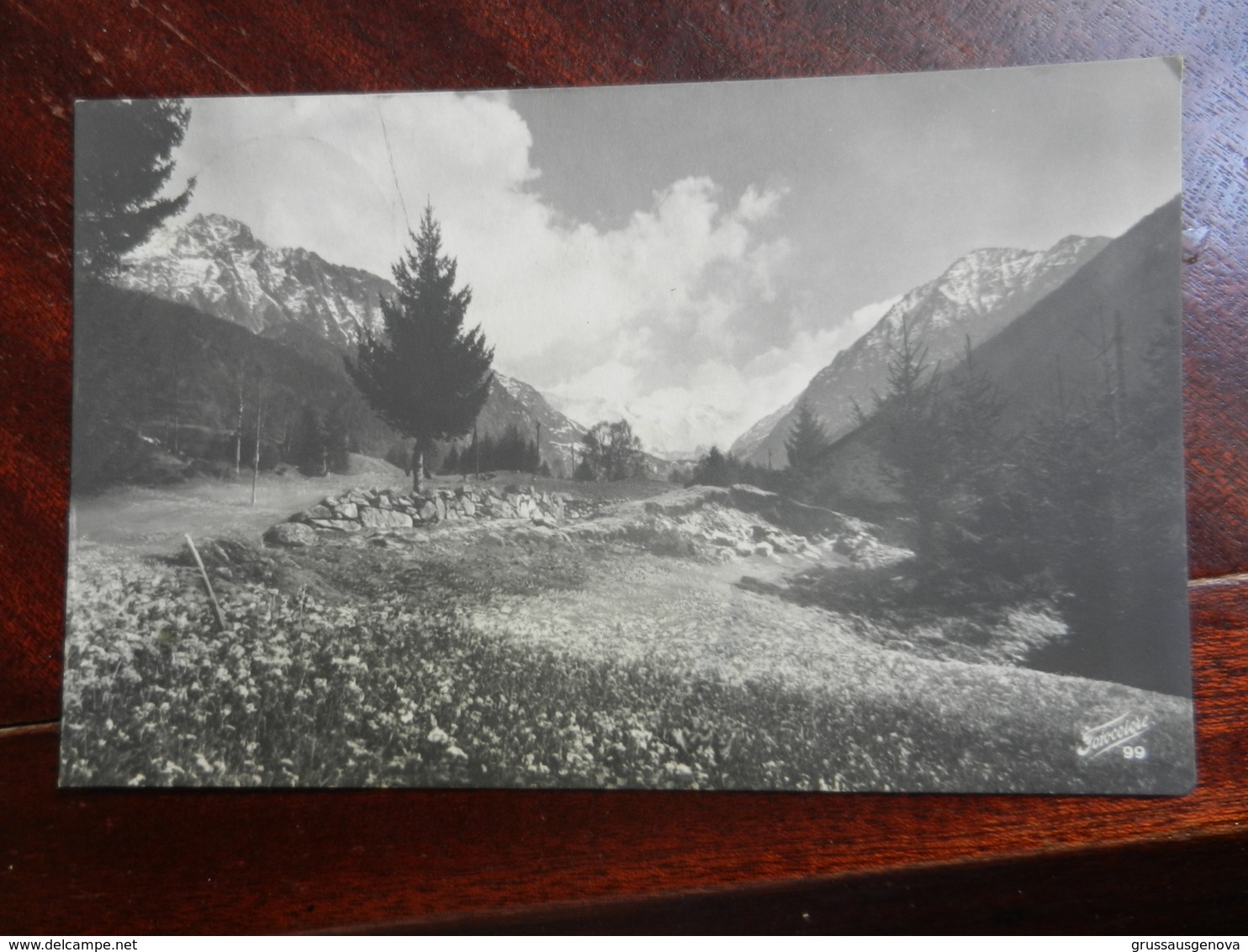 18466) LOCALITA' O VALLE ALPINA NON IDENTIFICATA VIAGGIATA 1944 - Da Identificare