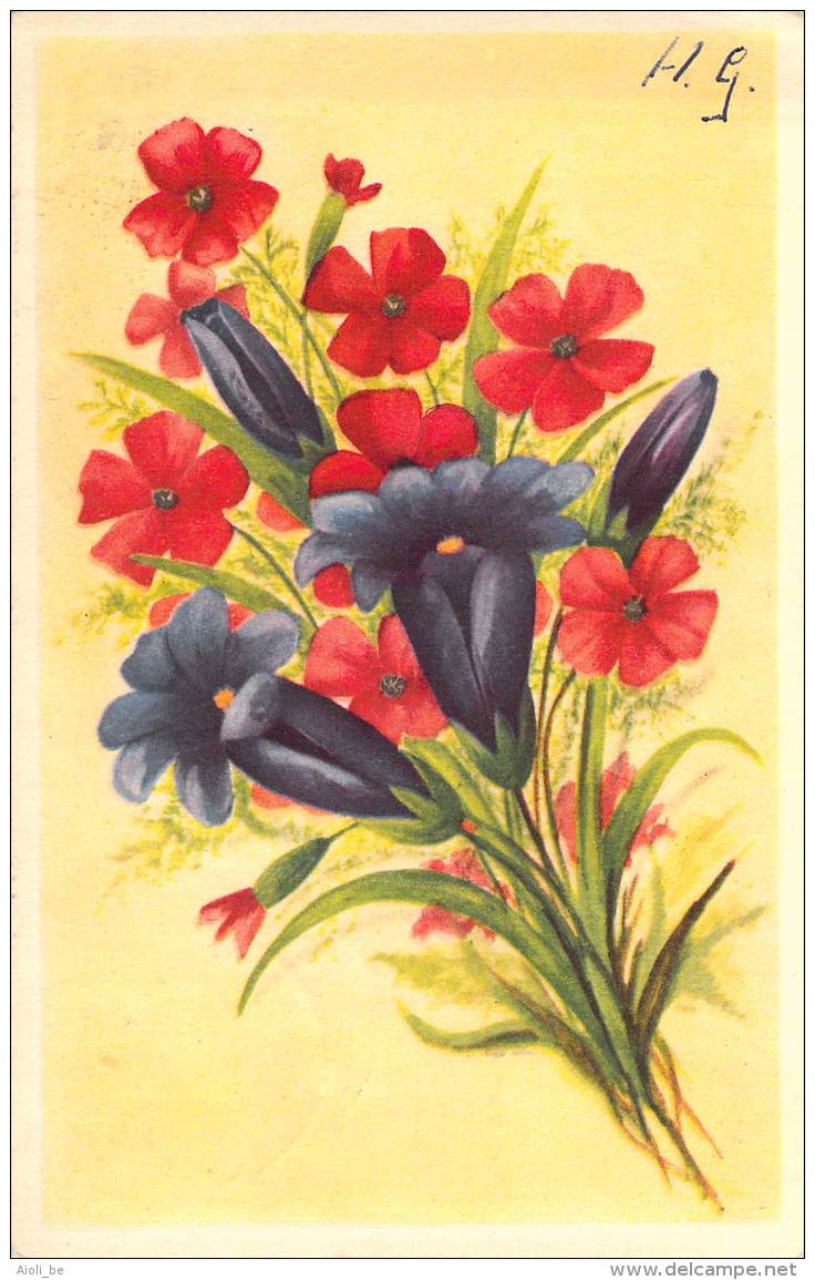 Beau lot de 30 cartes postales de  illustrateurs  Fleurs - Mooi lot 30 postkaarten Illustrators Bloemen 30 scans.