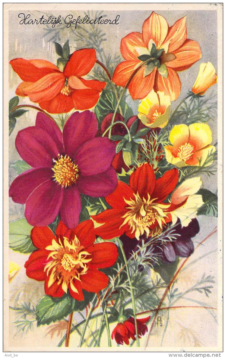 Beau lot de 30 cartes postales de  illustrateurs  Fleurs - Mooi lot 30 postkaarten Illustrators Bloemen 30 scans.