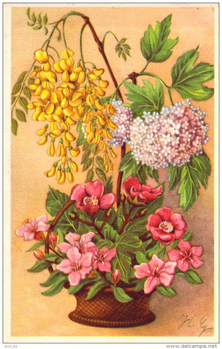 Beau lot de 30 cartes postales de  illustrateurs  Fleurs - Mooi lot 30 postkaarten Illustrators Bloemen 30 scans.