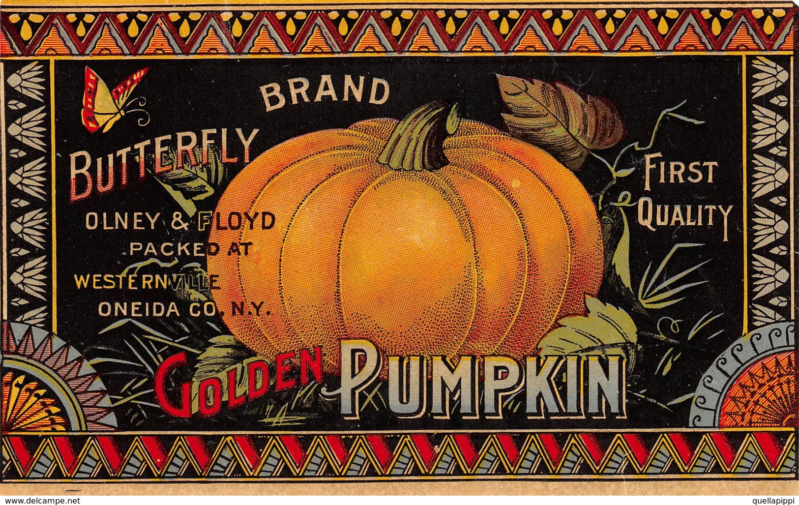 08497 "N.Y. ONEIDA - OLNEY & FLOYD PACKED AT - WESTWRNVILLE - GOLDEN PUMPKIN"  I QUARTO XX SEC. ETICHETTA ORIG. - Frutas Y Legumbres