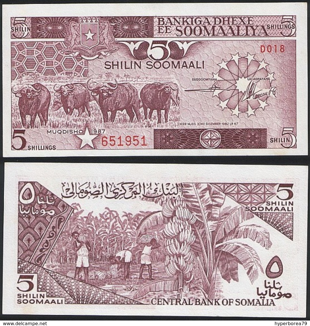 Somalia P 31 C - 5 Shilin Shillings 1987 - UNC - Somalia