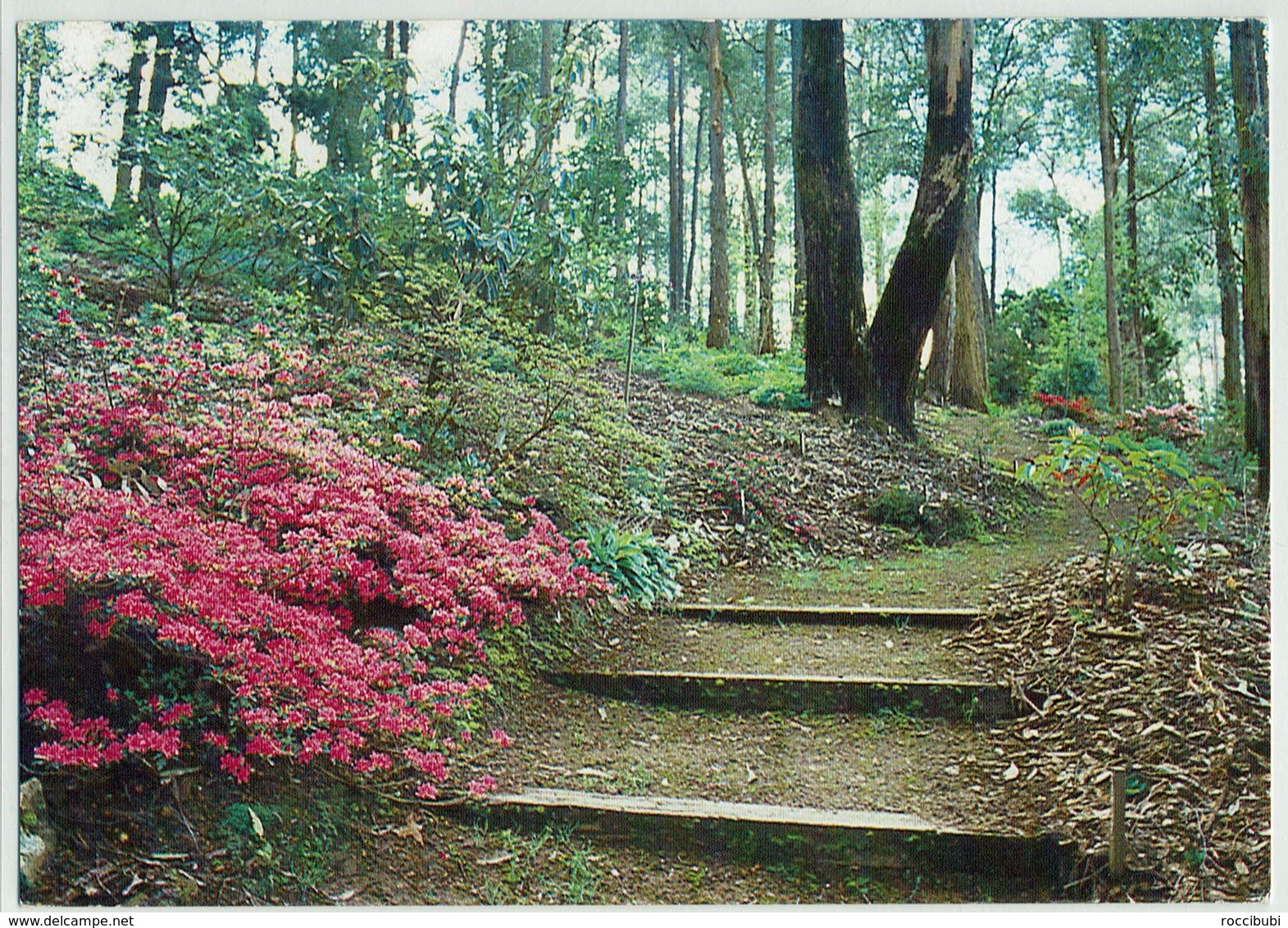 Australien, Mt. Lofty Botanic Garden - Altri & Non Classificati