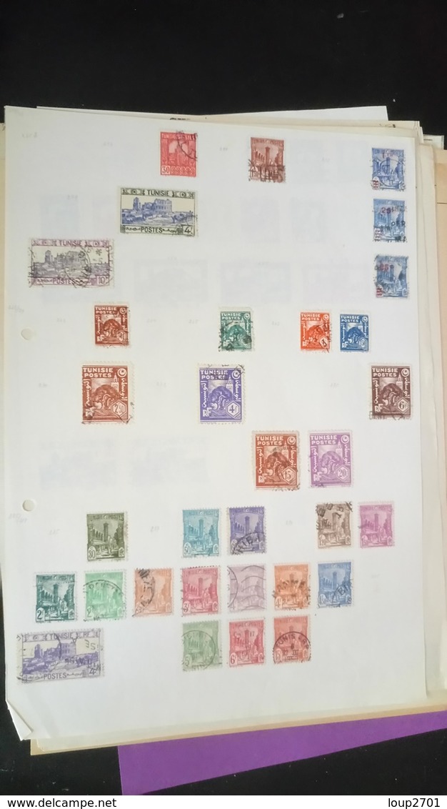 D009 LOT TIMBRES COLONIES NEUFS / OB A TRIER COTE++ POIDS 0.290KG DÉPART 10€