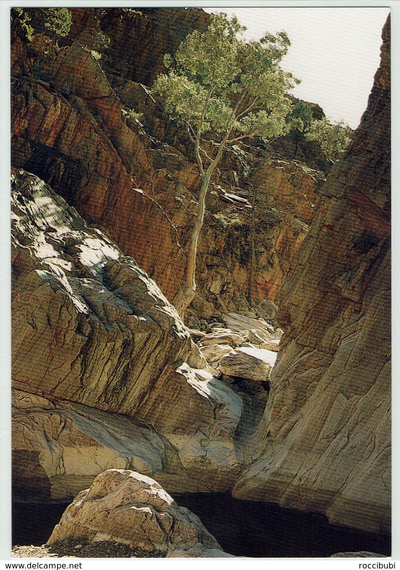 Australien, Northern Flinders Ranges - Flinders Ranges