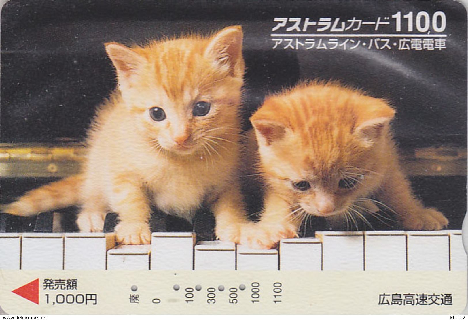 Carte Prépayée Japon - ANIMAL - CHAT Chats Sur Piano 1100 - CAT Japan Prepaid Card - KATZE - GATTO - GATO - FR 4622 - Gatos